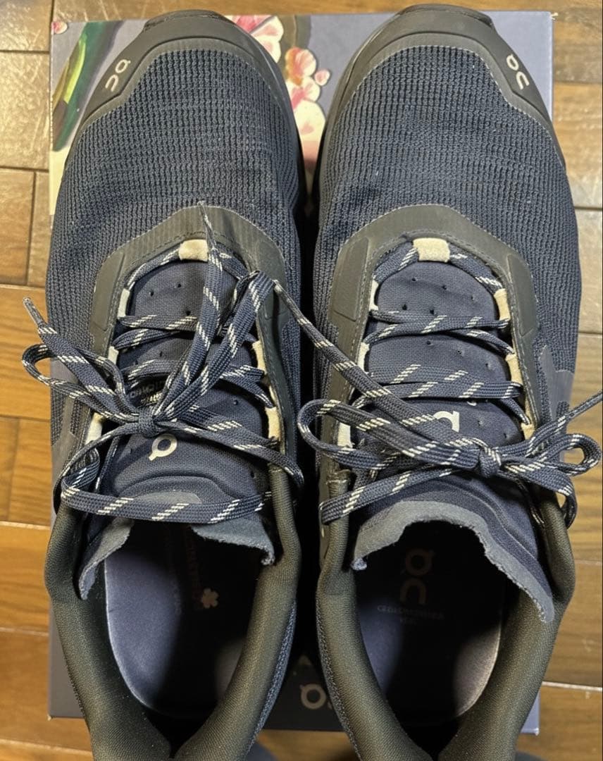 靴 On Cloudmonster void yozakura