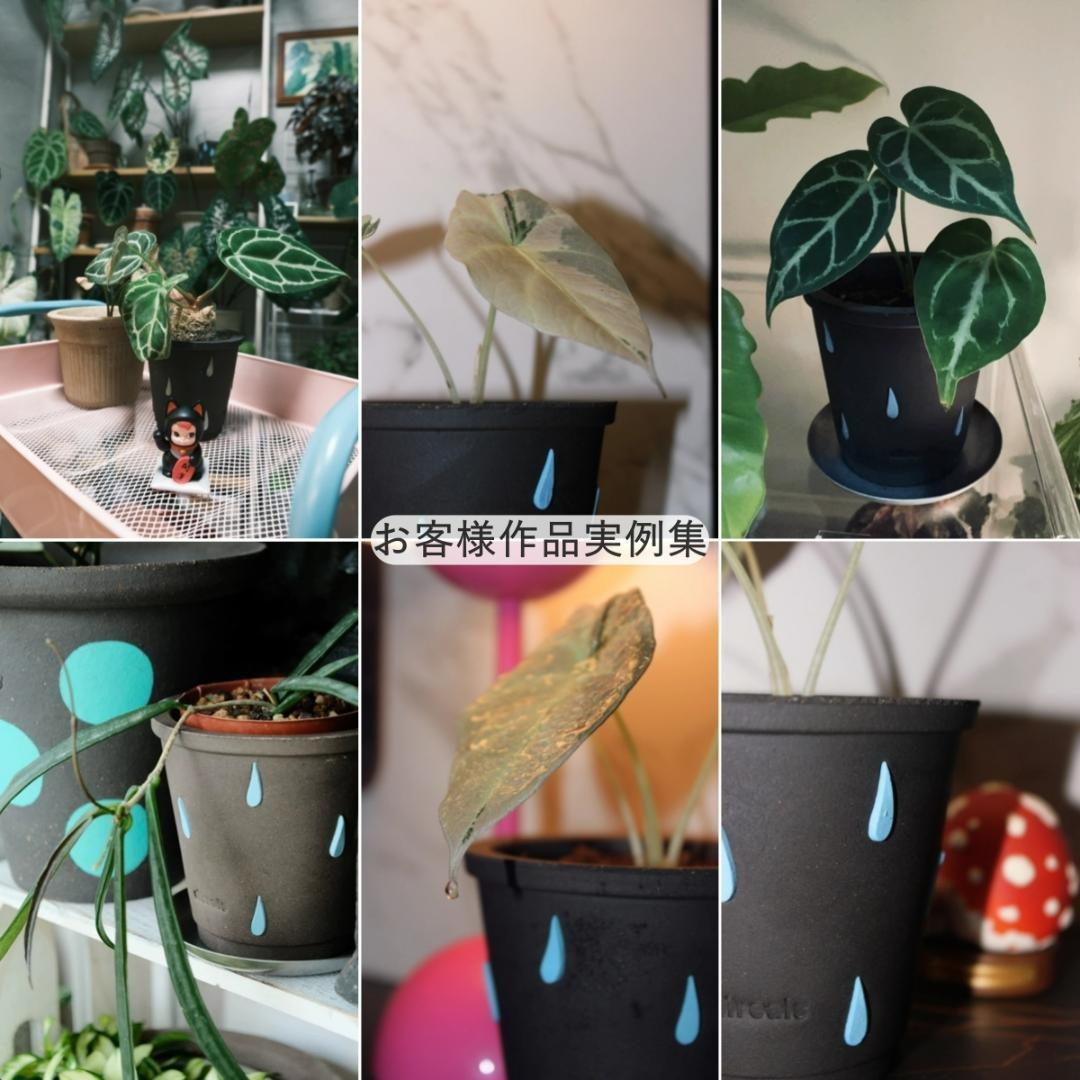 N0280 ciireals 手づくり 高品質 素焼鉢 植木鉢 通気抜群Bセット