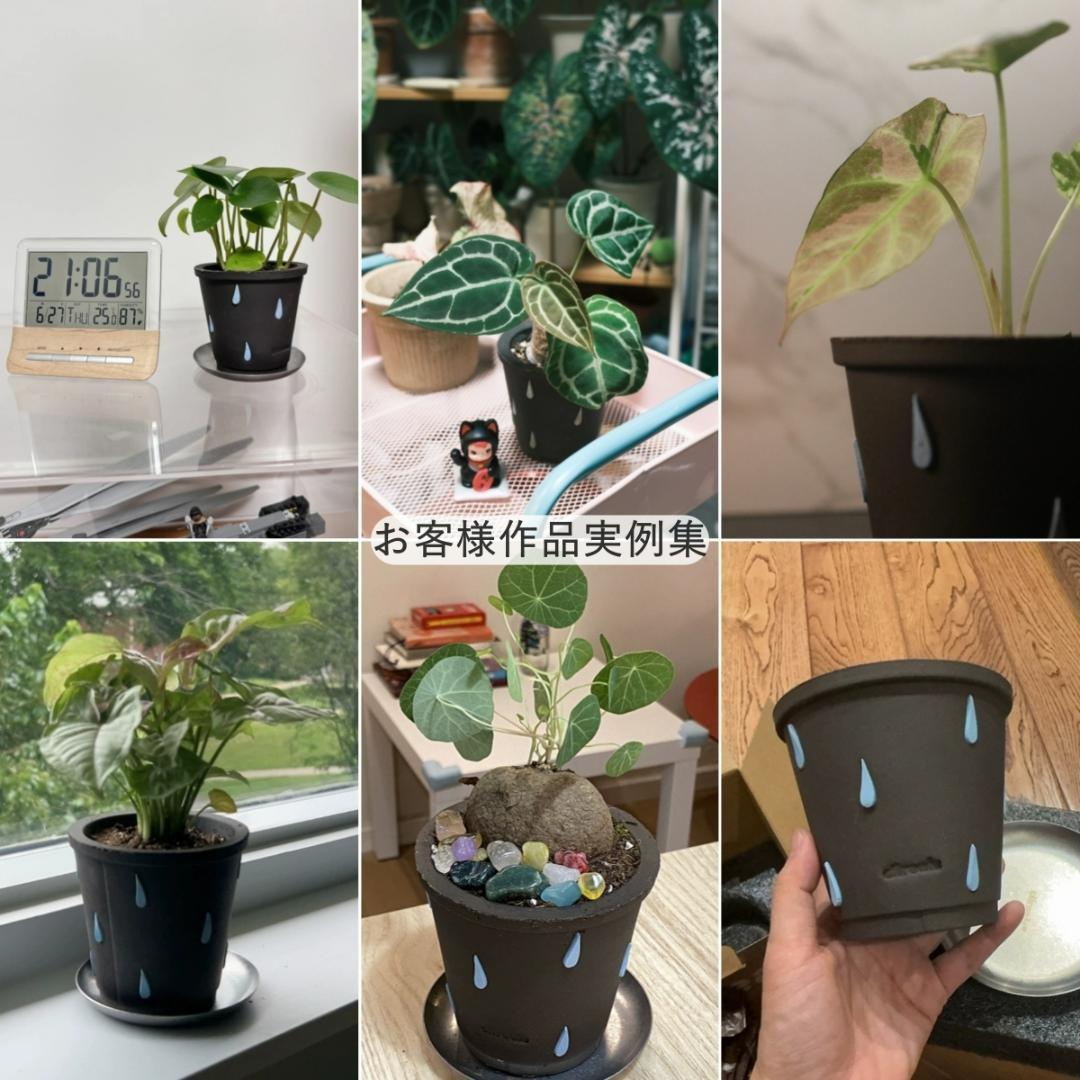 N0280 ciireals 手づくり 高品質 素焼鉢 植木鉢 通気抜群Bセット