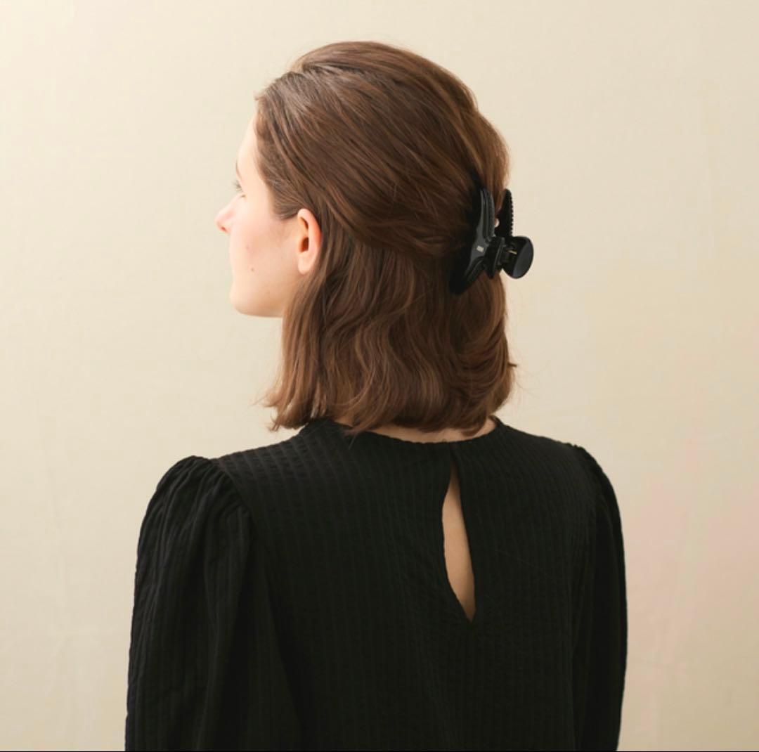 クリップ　ALEXANDRE DE PARIS アレクサンドルドゥパリ