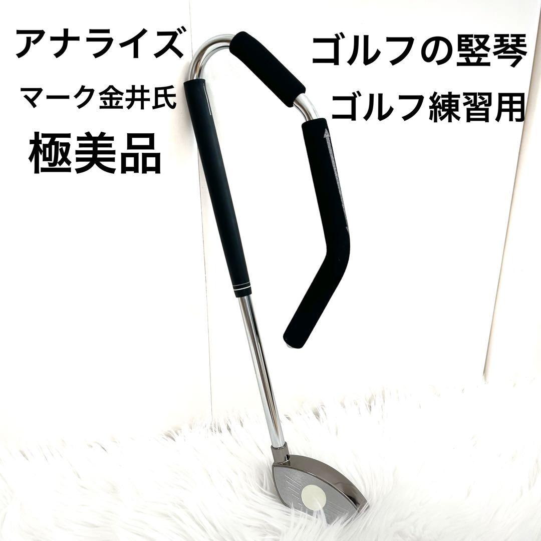 ゴルフの堅琴 アナライズ ゴルフ練習 マーク金井　スイング練習