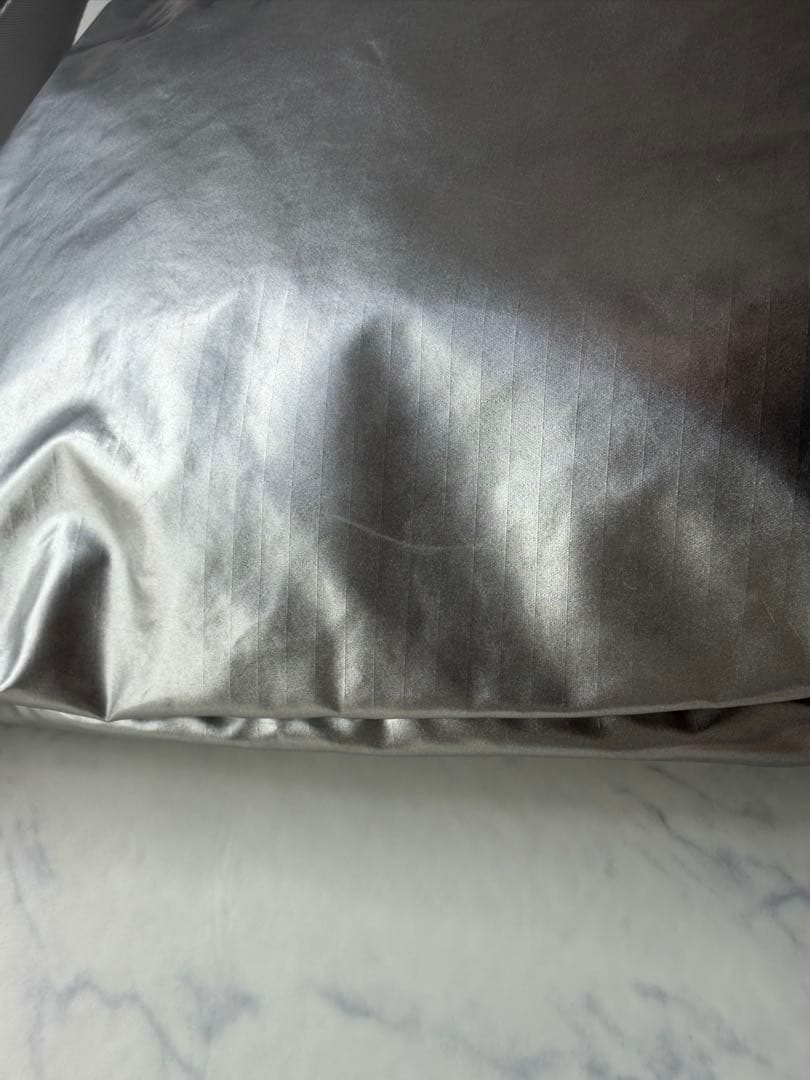 LeSportsac ひとりっぷ シルバー 2WAYトートバック