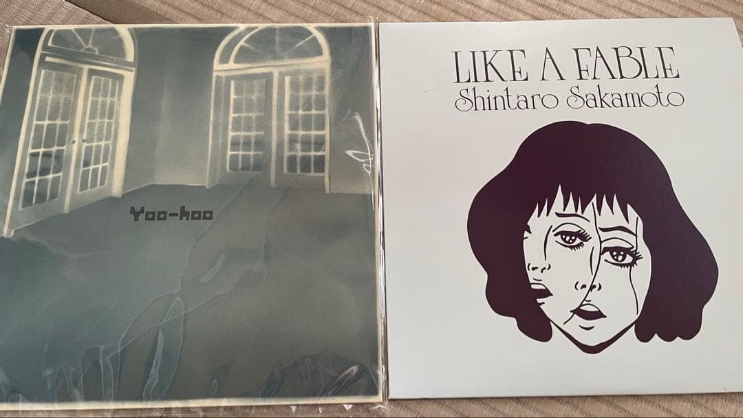 犬*神様 坂本慎太郎 / ヤッホー / 物語のように　LP