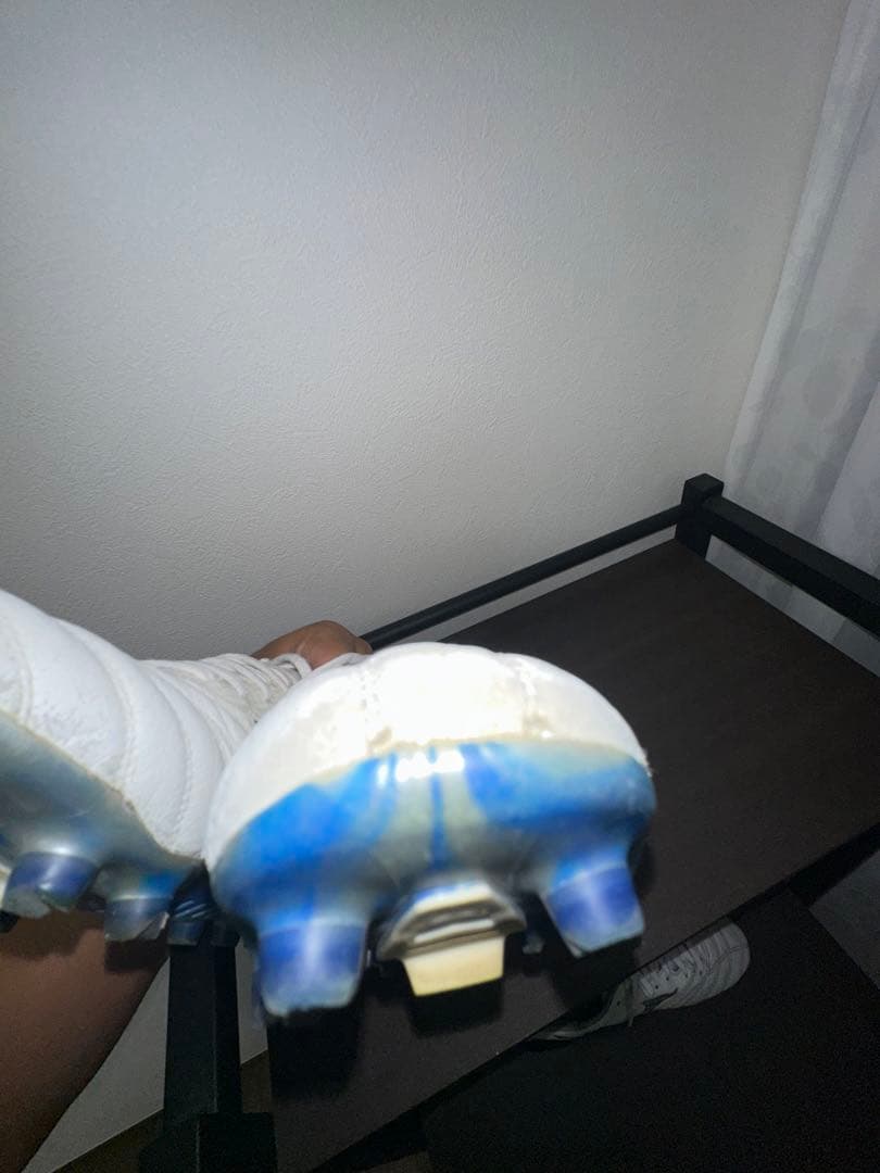 モレリアネオベータ　白×青