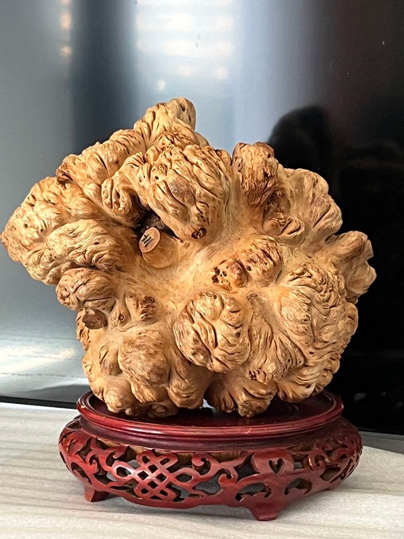 泡瘤 木の瘤 瘤杢 置物