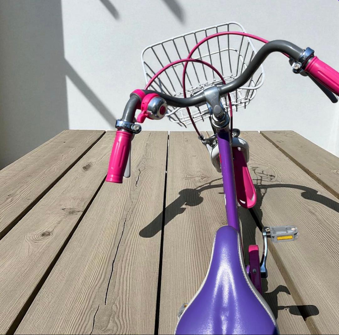 子供用自転車　アルバニー　raise 16インチ　引き取り希望