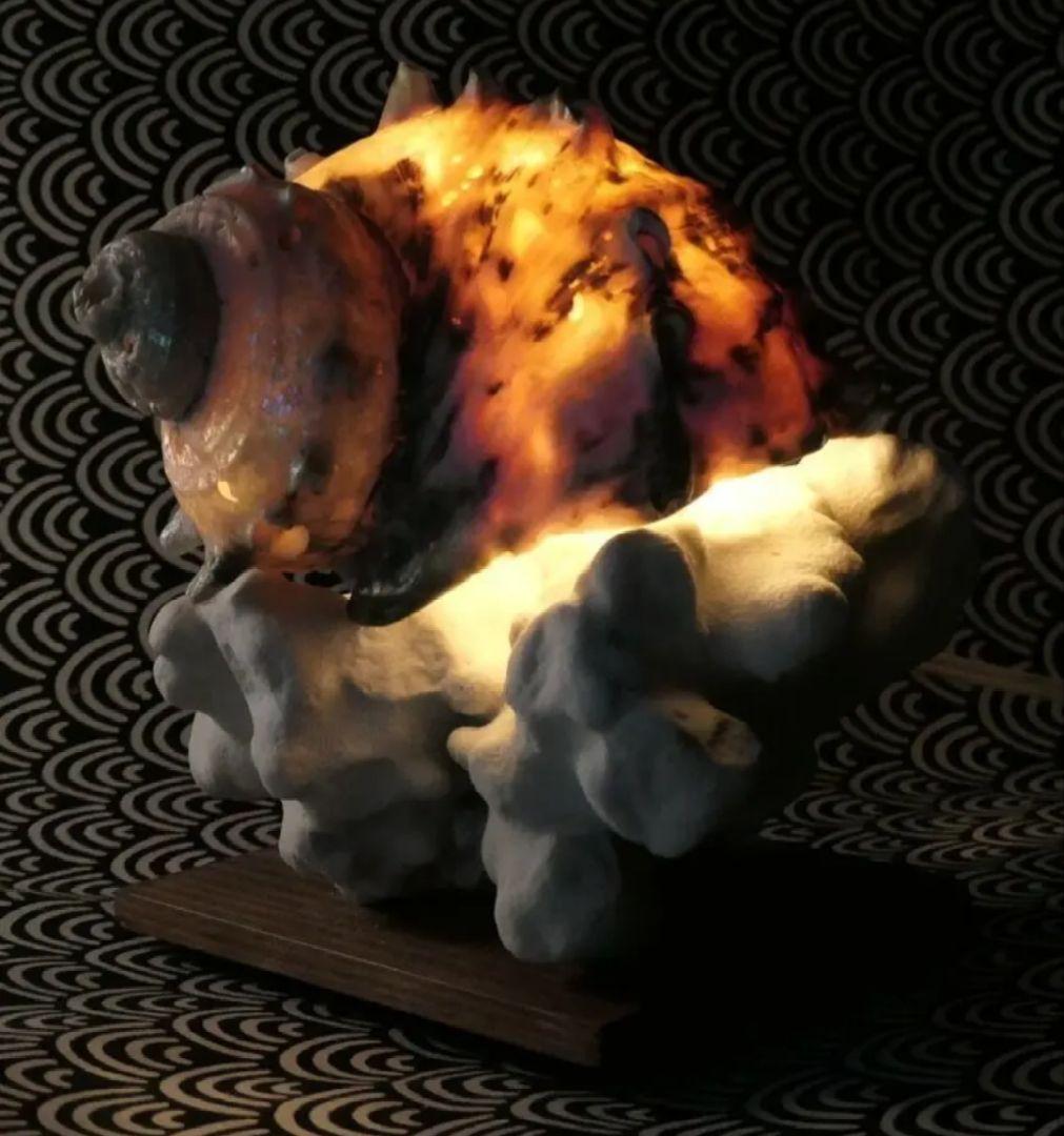 カマサザエのランプ　値下げしました