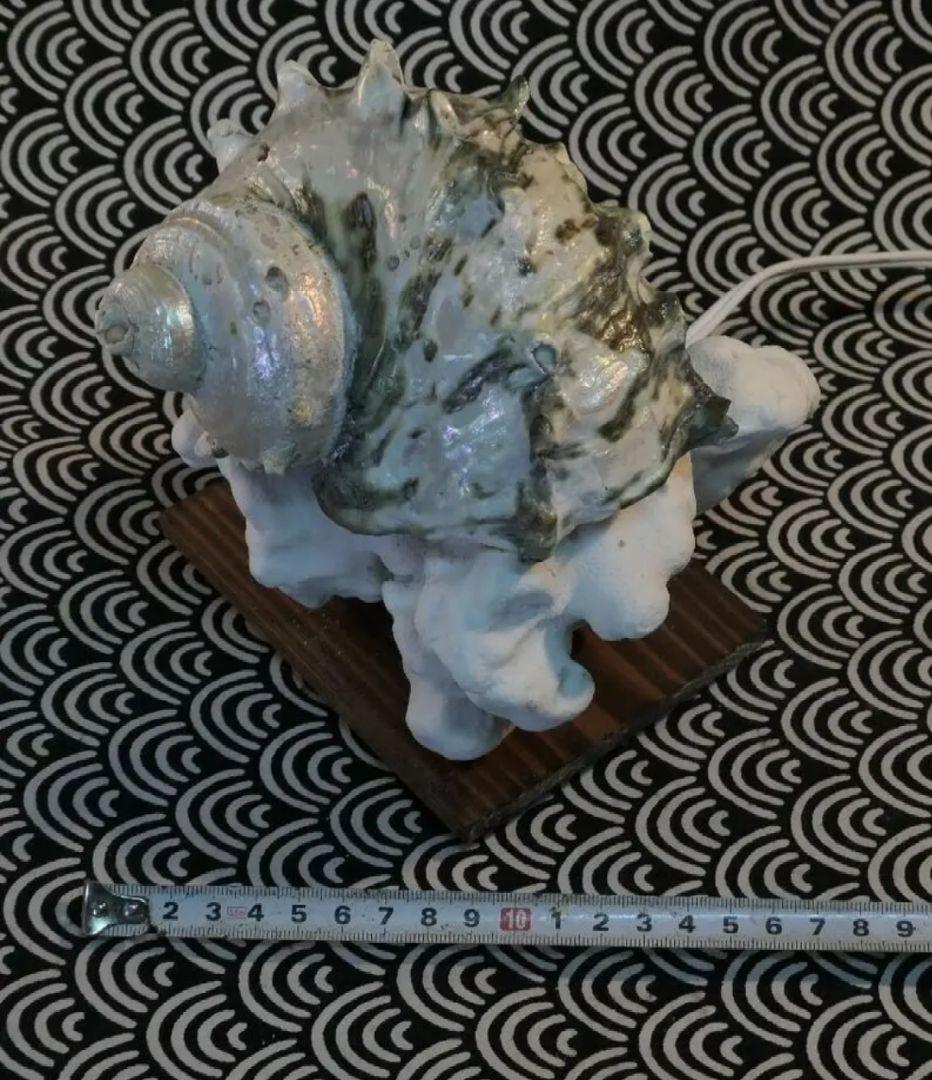 カマサザエのランプ　値下げしました