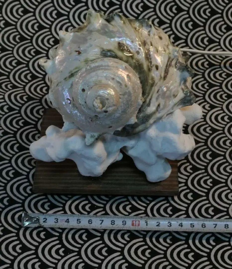 カマサザエのランプ　値下げしました