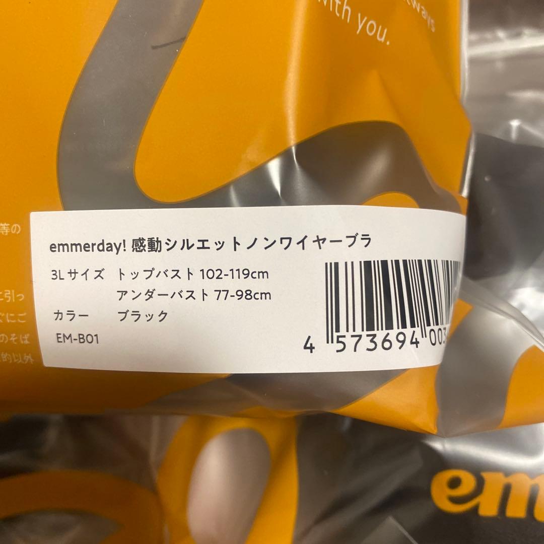 ak emmerday!シルエット ノンワイヤーブラ 3L ブラック✖️5セット
