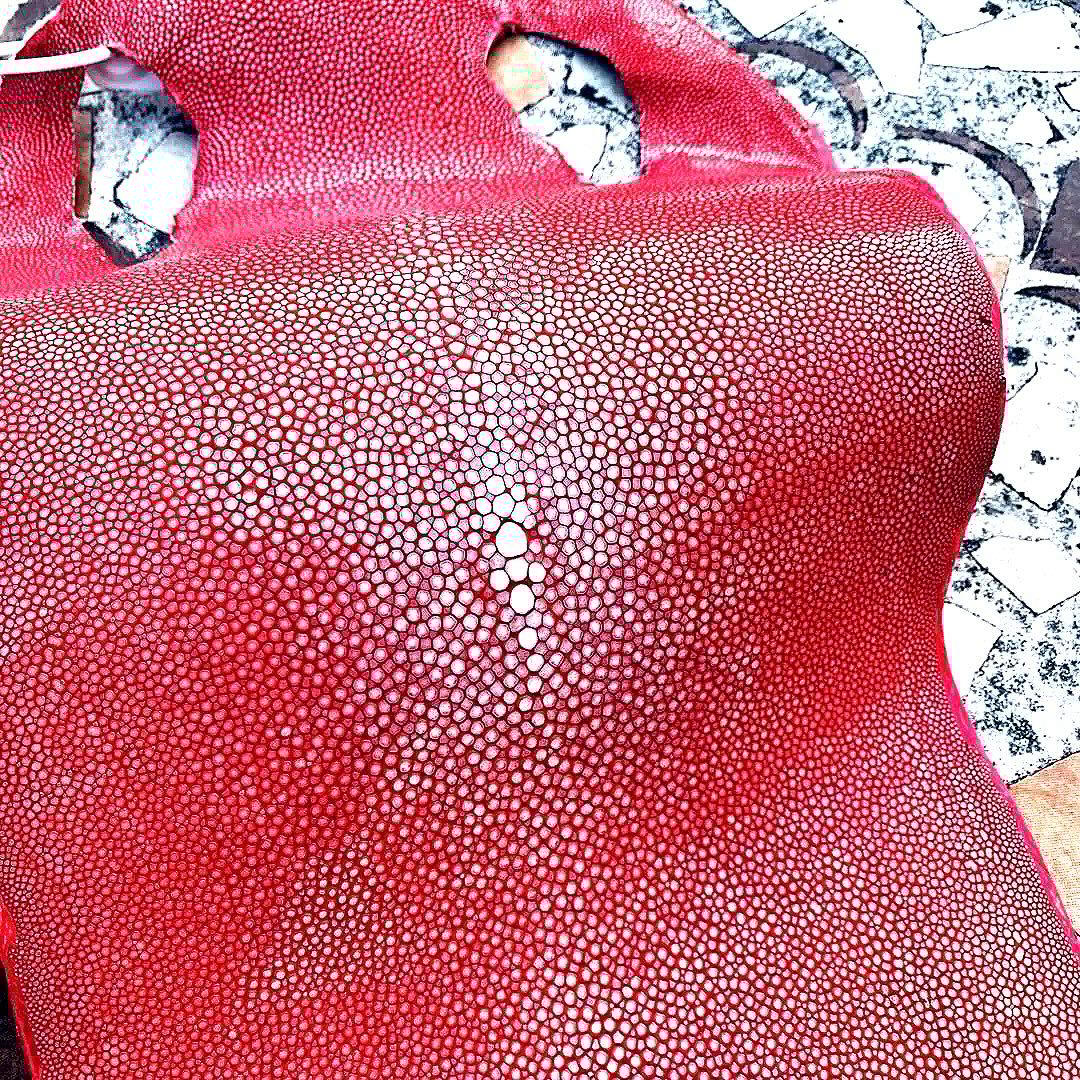 11)エイ革 鮫革 鮫皮 stingray ガルーシャ スティングレイ