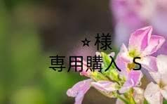 ⭐︎購入 S
