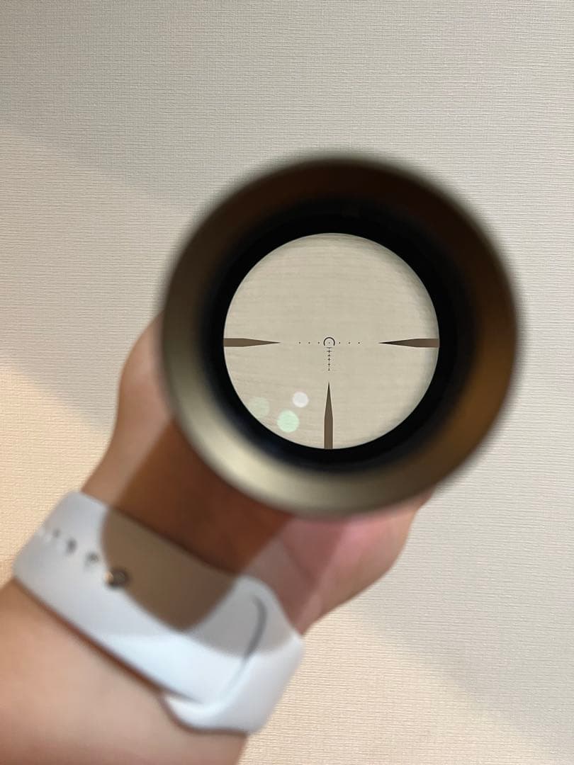 SIG SAUER TANGO-MSR 1-6x24最終値下げ