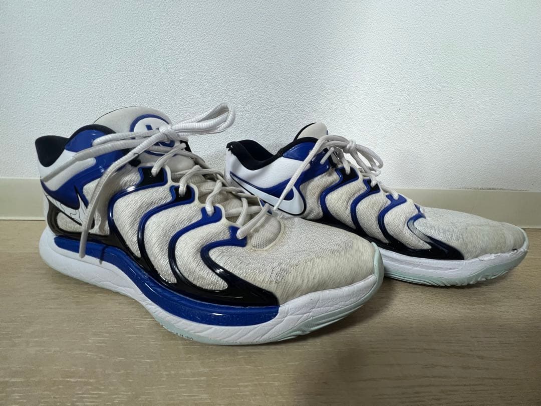 シューズ(男性用) NIKE KD17 29cm