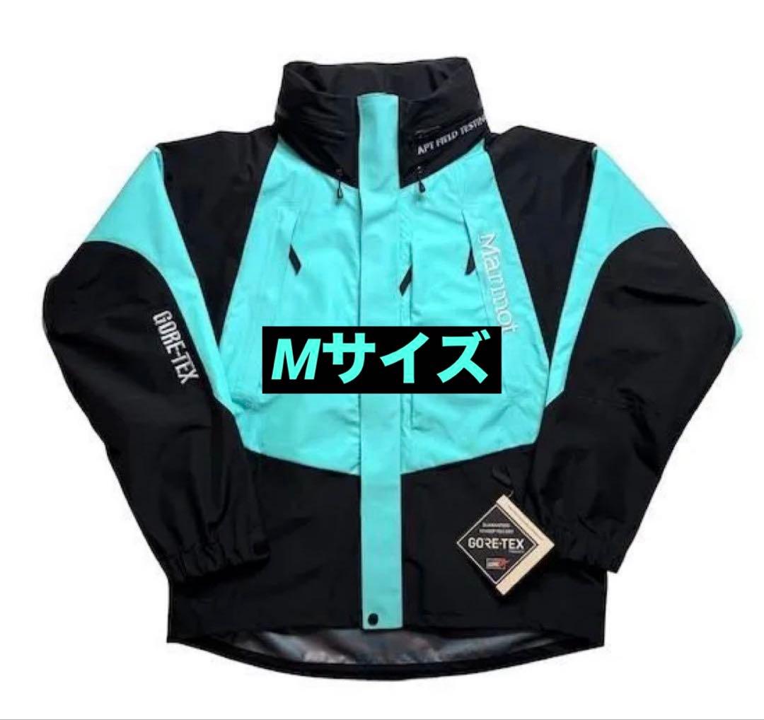 ジャケット・アウター STABRIDGE x Marmot Gore-Tex 3L Alpinist