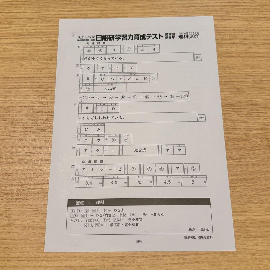 日能研 6年 学習力育成・合格力育成/実践テスト 解答解説付き 2024年度