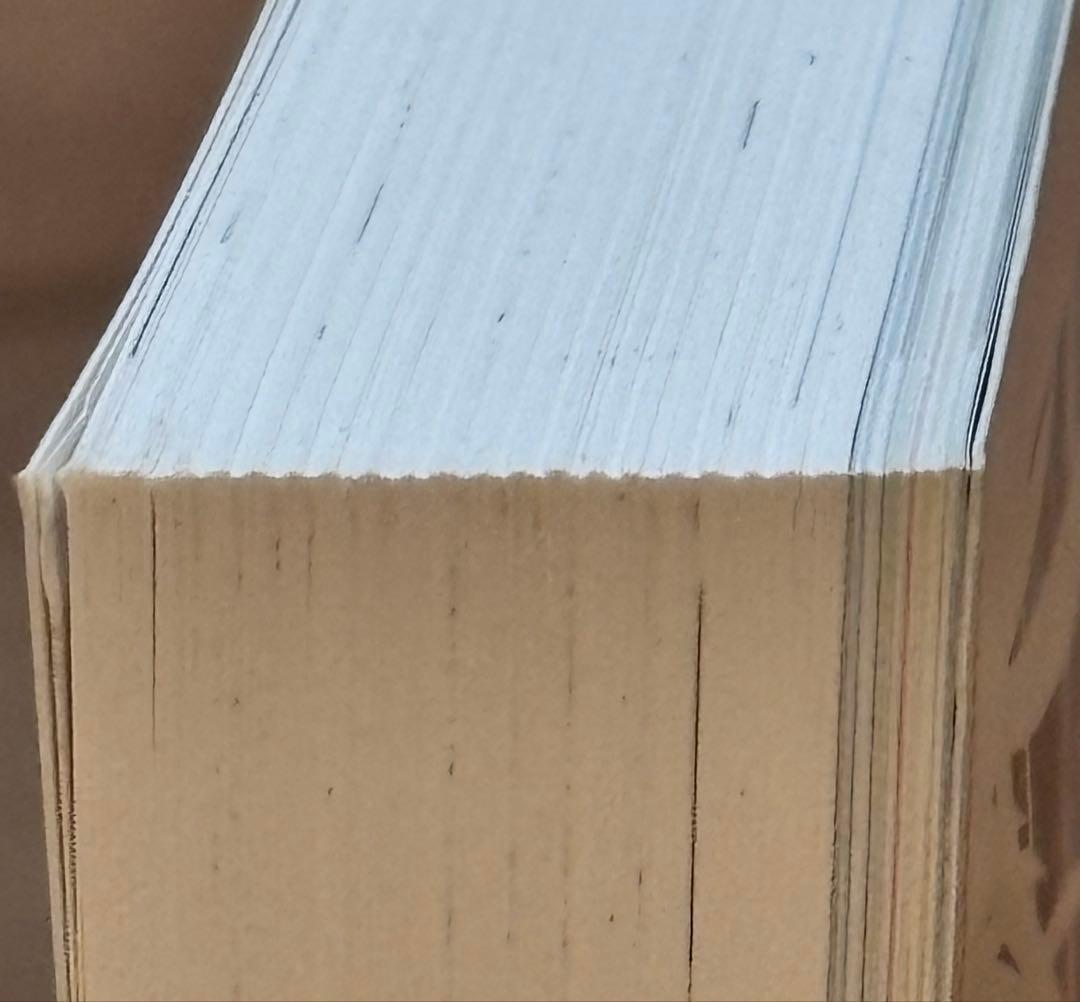 SAOA 鈴木豪 山本由美子 ANIMATION WORKS