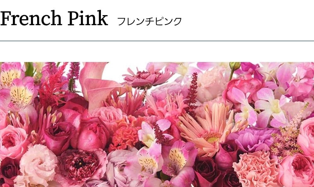 新品未開封 ドクターメソッド ガードルLL3枚＋ショーツLL 1枚 計4点