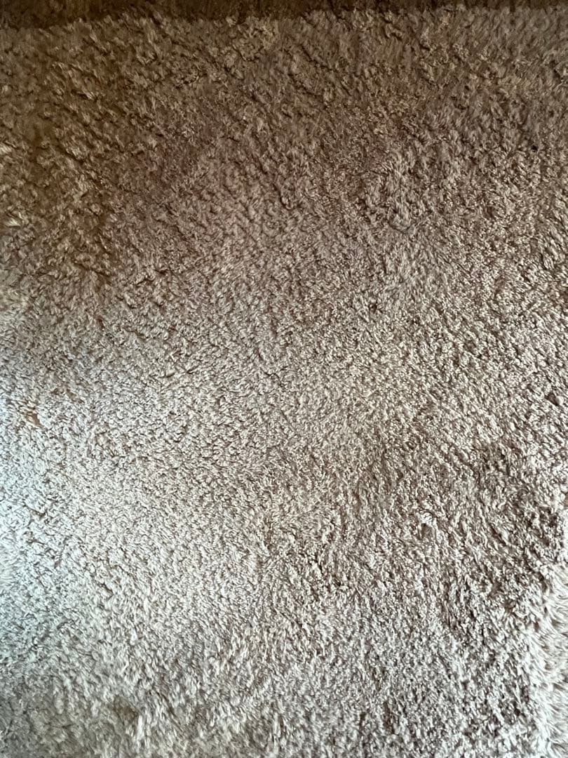 TRUCK FURNITURE完売商品　ウールラグ　L