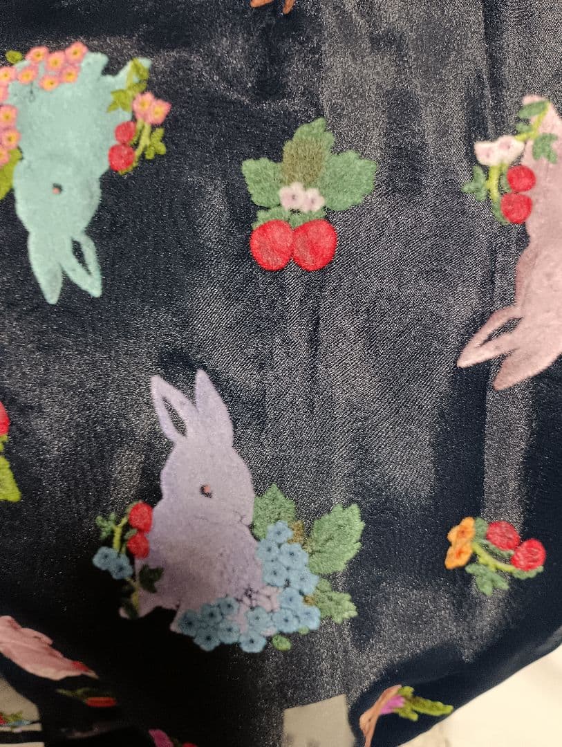 フランシュリッペ　スカート