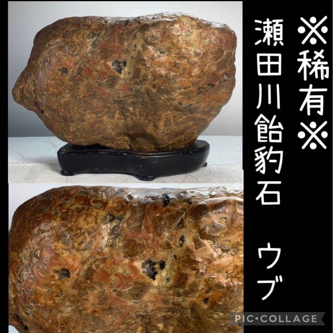 3938瀬田川飴豹石 ウブ 横21×高17×奥行11.5(cm) 5.86kg