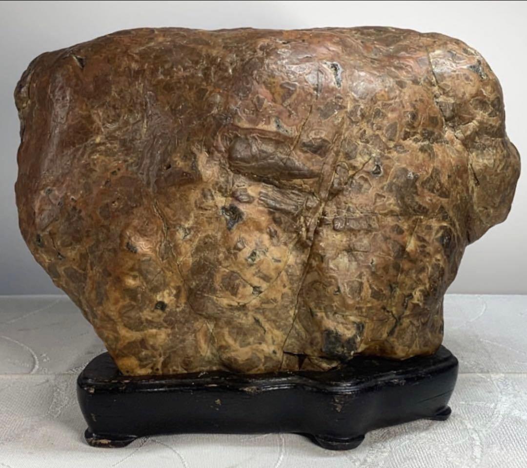 3938瀬田川飴豹石 ウブ 横21×高17×奥行11.5(cm) 5.86kg