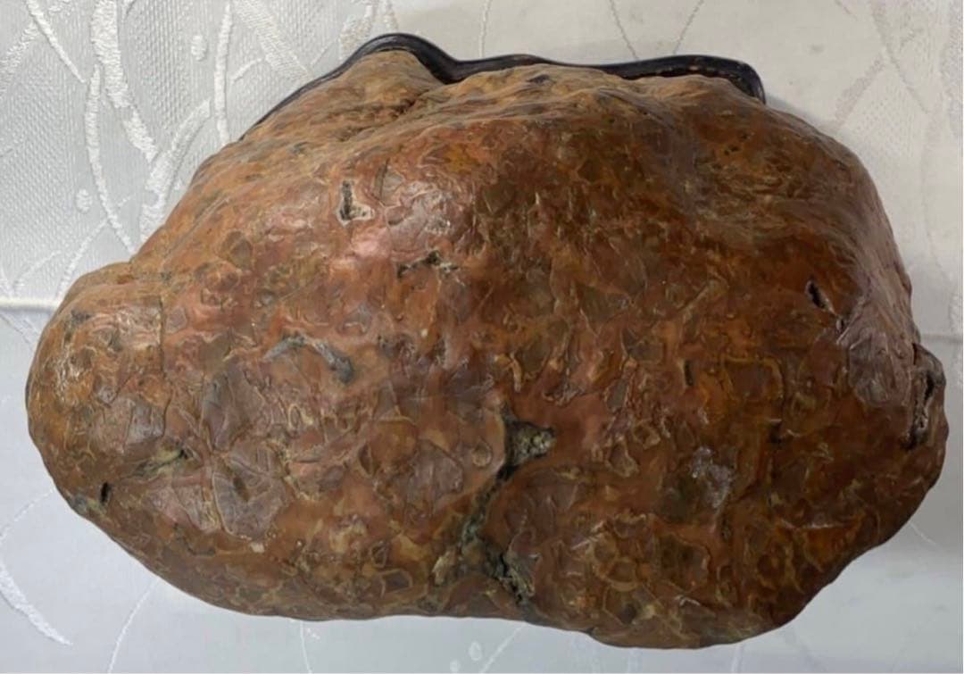 3938瀬田川飴豹石 ウブ 横21×高17×奥行11.5(cm) 5.86kg