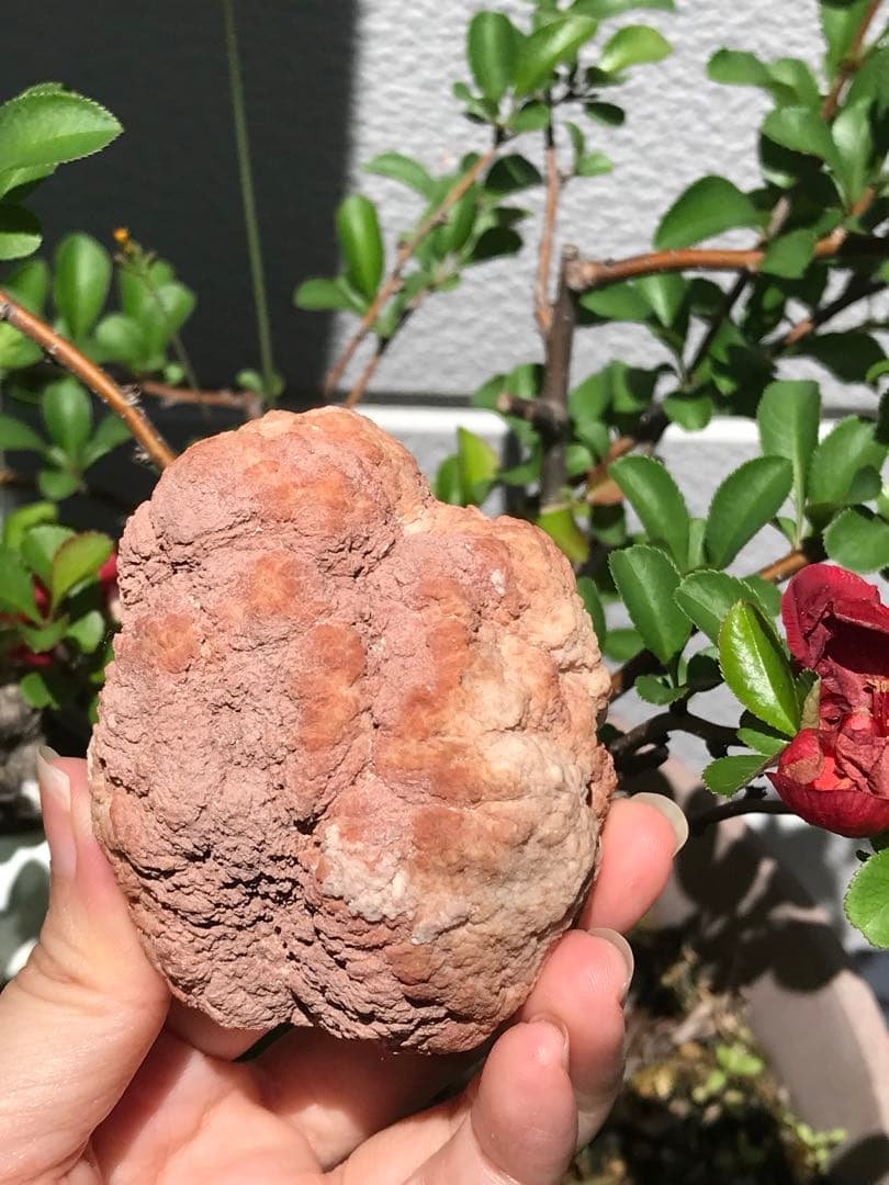 ☘️希少❤️奇跡　ピンクアメジスト ドーム パワーストーン 天然石 置き物