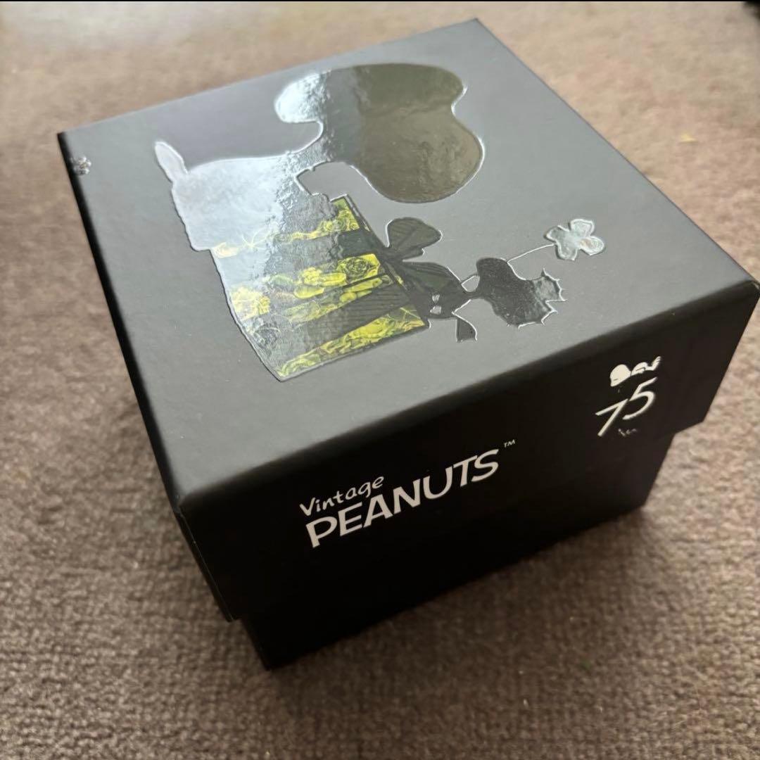 Nicolai Bergmann meets PEANUTS. プリザーブド