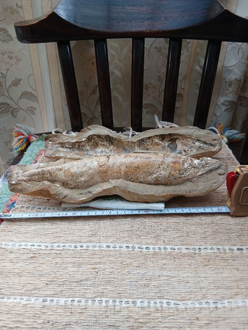 サ*ス様 内部が結晶化した魚の化石