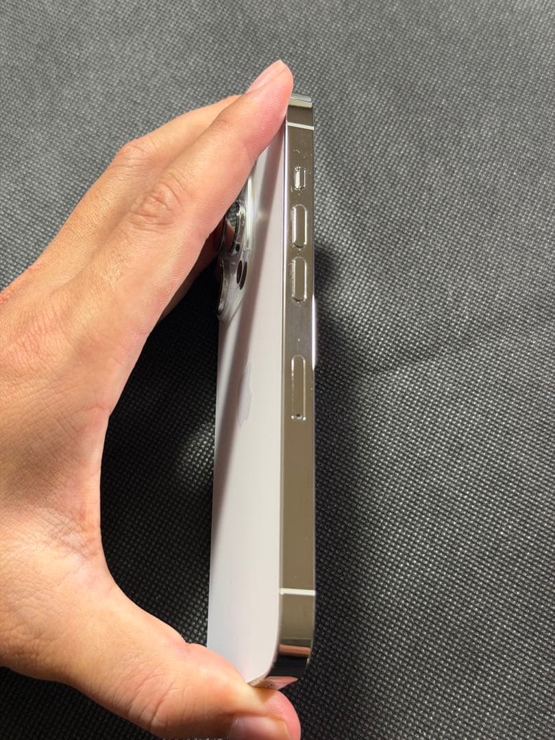 Apple iPhone 14 Pro シルバー 本体