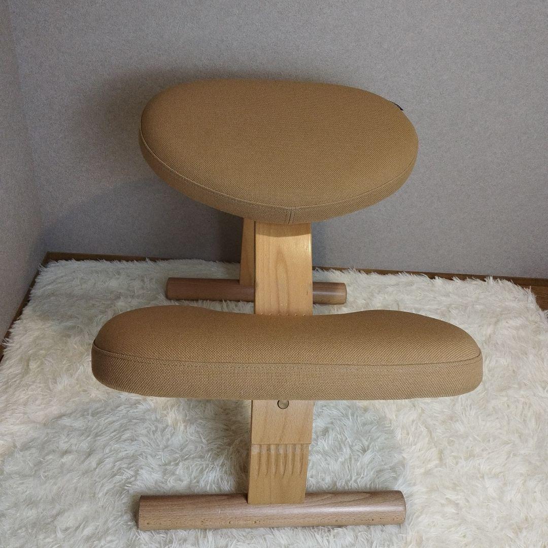 【極美品】balans Easy バランスチェア イージー カバー付