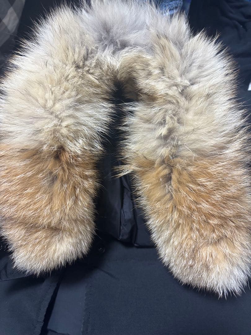 【週末限定価格】  マッケンジー　M