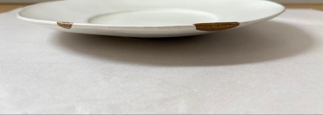 【安藤雅信】オランダ皿 2枚セット