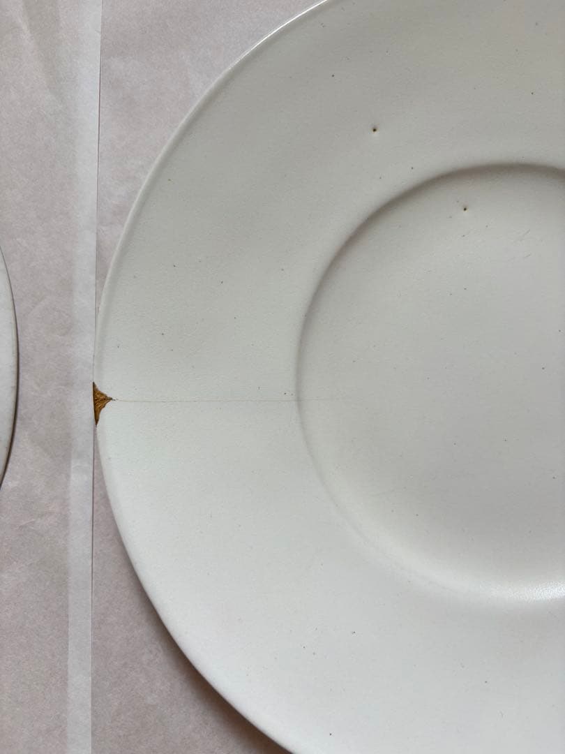 【安藤雅信】オランダ皿 2枚セット