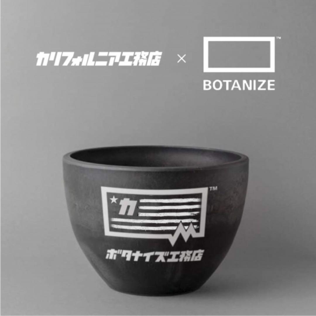 カリフォルニア工務店 × BOTANIE ボタナイズ