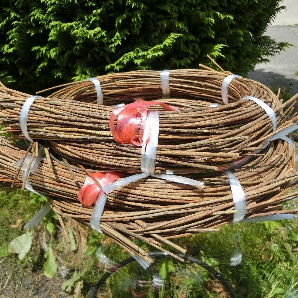 みっくん 青森県岩木山採取　あけび蔓　長 短 各1kg　合計2kg 練習用