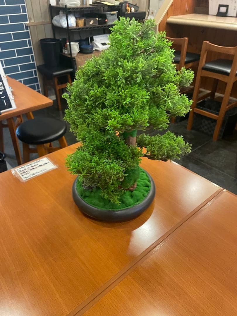 盆栽　フェイク