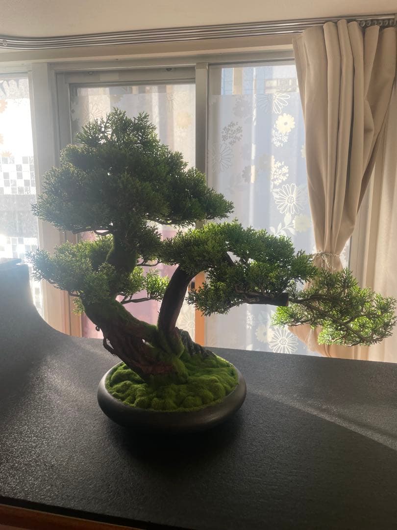 盆栽　フェイク