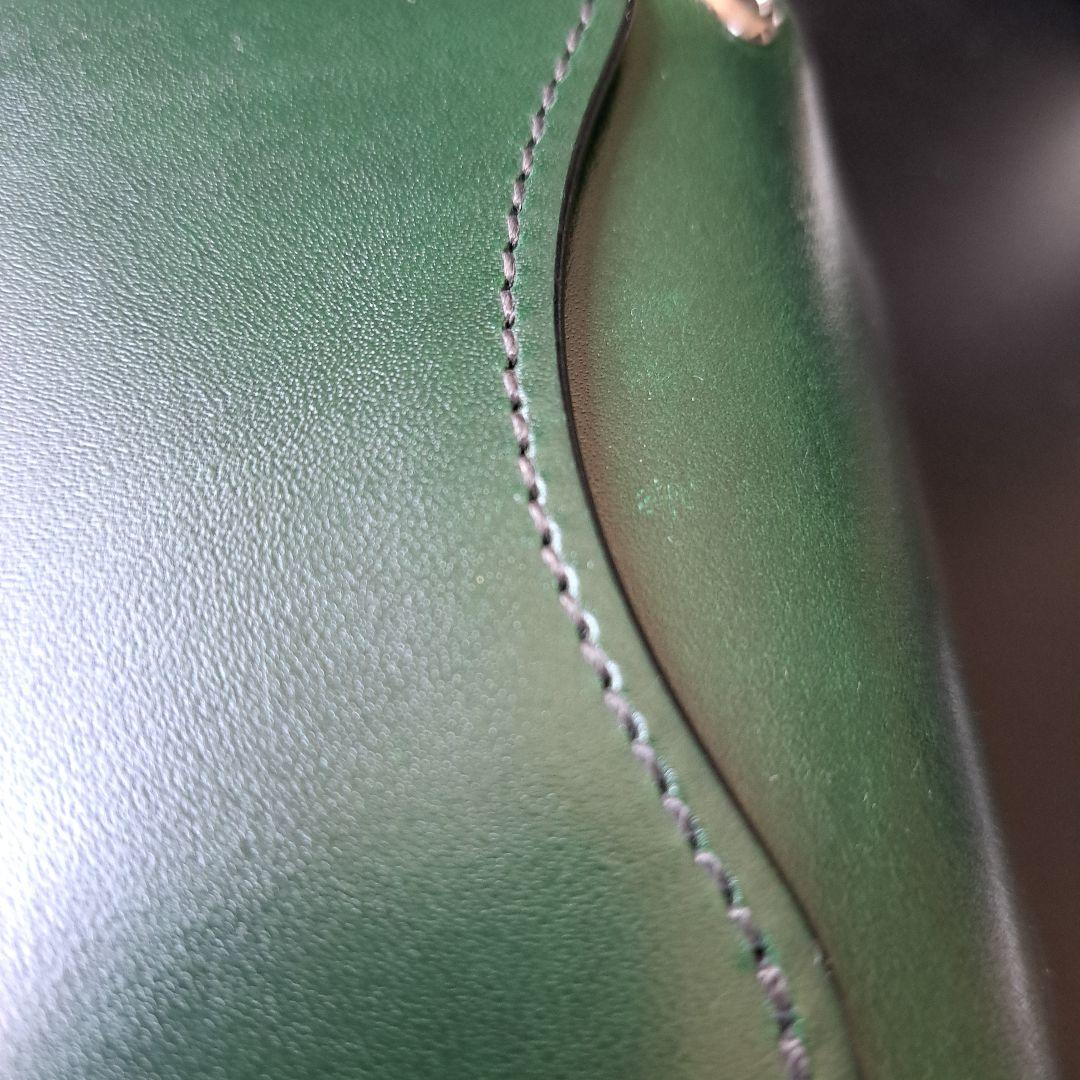 極美　ワイルドスワンズ　タング(ハト目)　サドル　グリーン