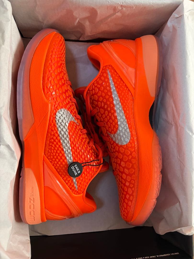 コービー6 プロトロ