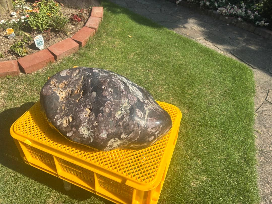 【梅花石】天然模様 大型観賞石 水石 コレクション インテリア