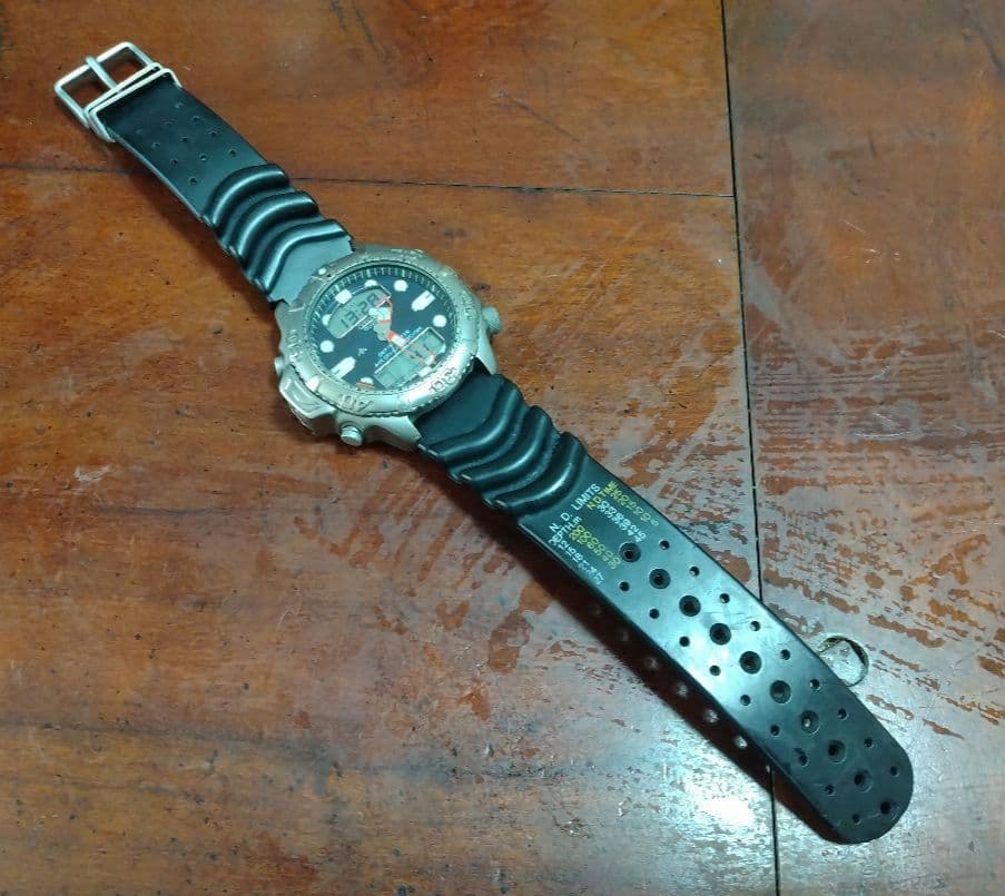 【おはよ】Citizen Promaster Aqualand