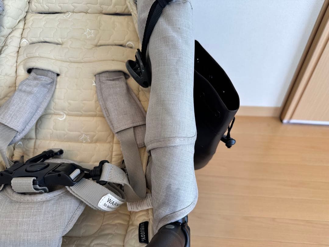 【11月末まで限定価格】エアバギー　ココダブル　EX フロムバース　アースサンド