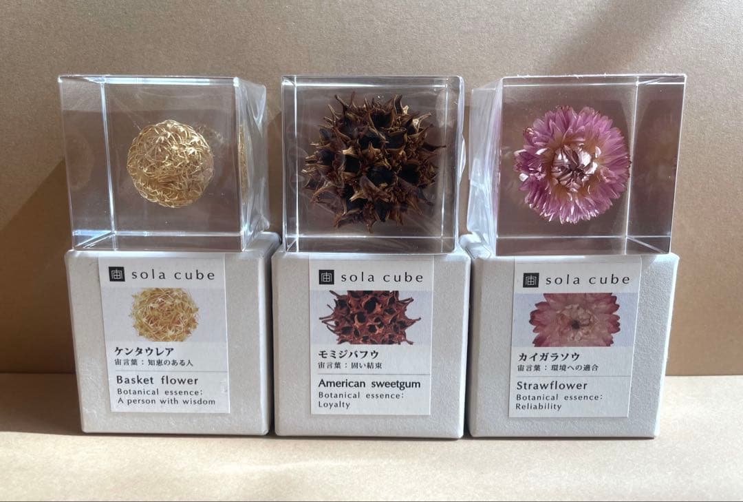 Sola Cube 置物3点セット