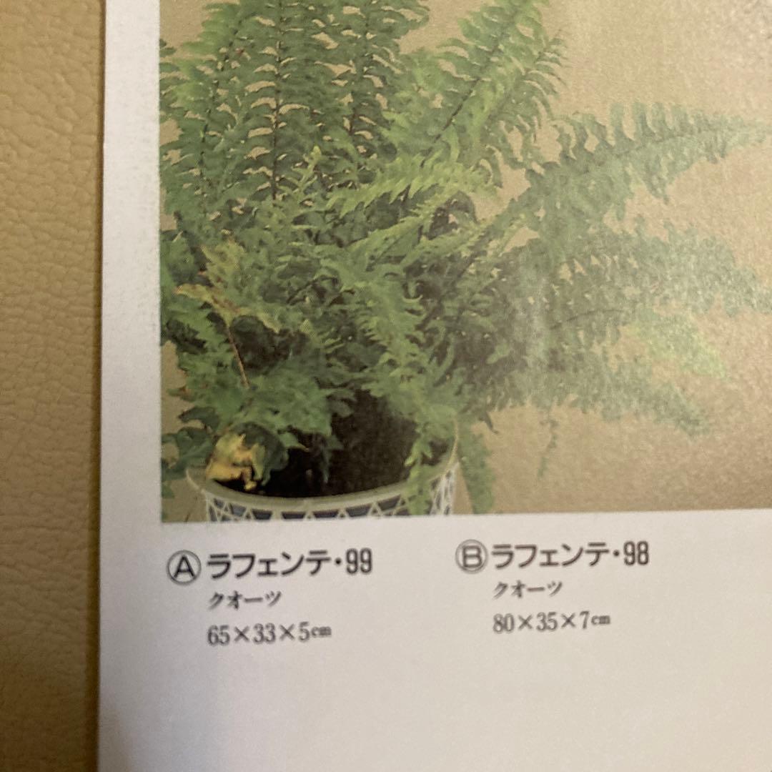 超希少　高級掛時計　クラシッククロック　ラフェンテ・99 アンティーク