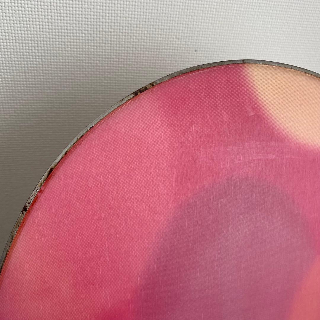 142 未使用　ドット柄　初級　スノーボード　板　SALOMON ビンディング