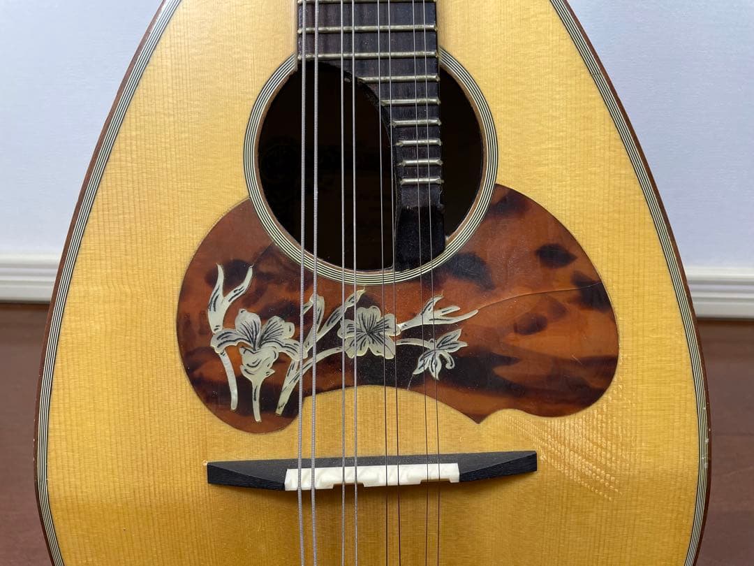 ラファエル・カラーチェ No.26 マンドリン