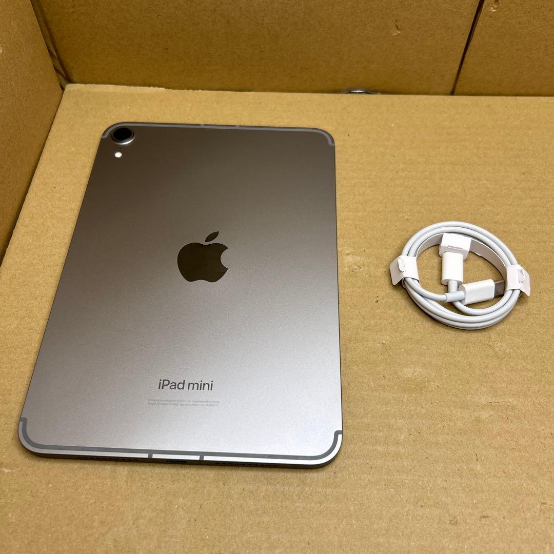 Apple iPad mini(A17 Pro) WIFI+セラルー　256GB