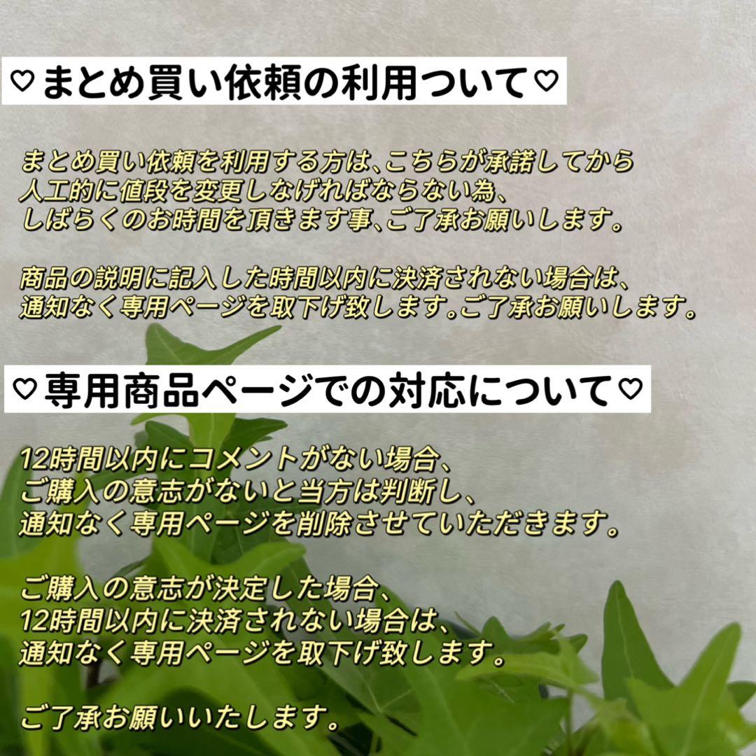 お客ページ　3点まとめ　オイスターバロックパールピアス　ペンダントトップ